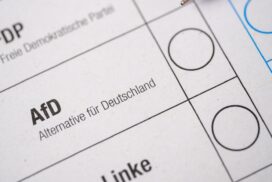 „Bauer sucht Frau“-Star will Bürgermeister werden – und zwar für die AfD!