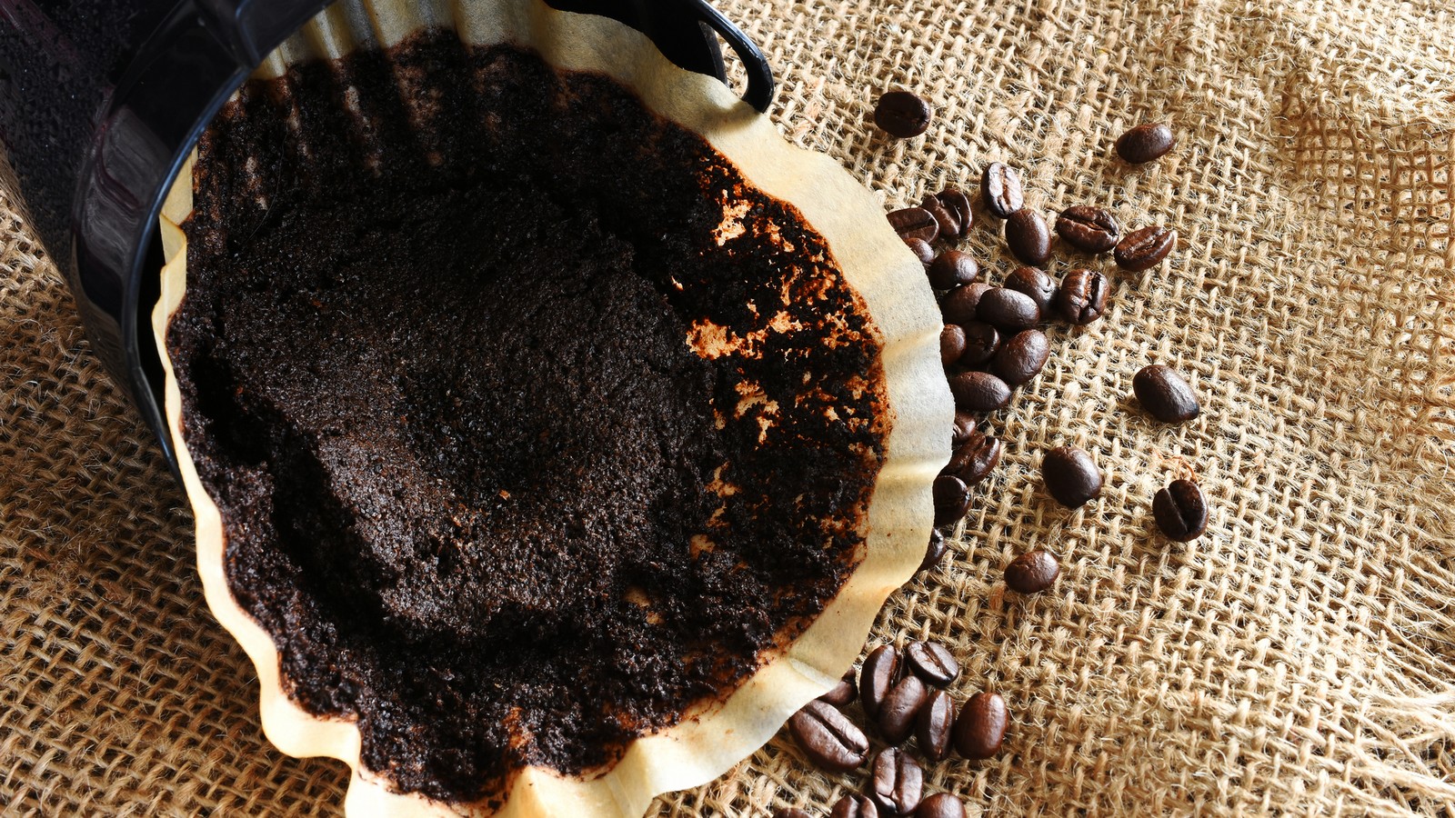 Darum kann Kaffeesatz in der Toilette vor dem Urlaub sinnvoll sein 61 Kaffeesatz