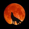 Mondfinsternis im März 2026: Wann sieht man den Blutmond? 55 Blutmond