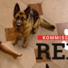 "Kommissar Rex"