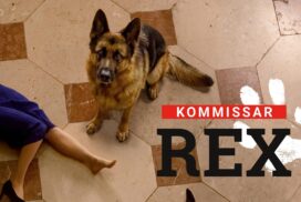 „Kommissar Rex“: Wie viele Schäferhunde spielten die Rolle?