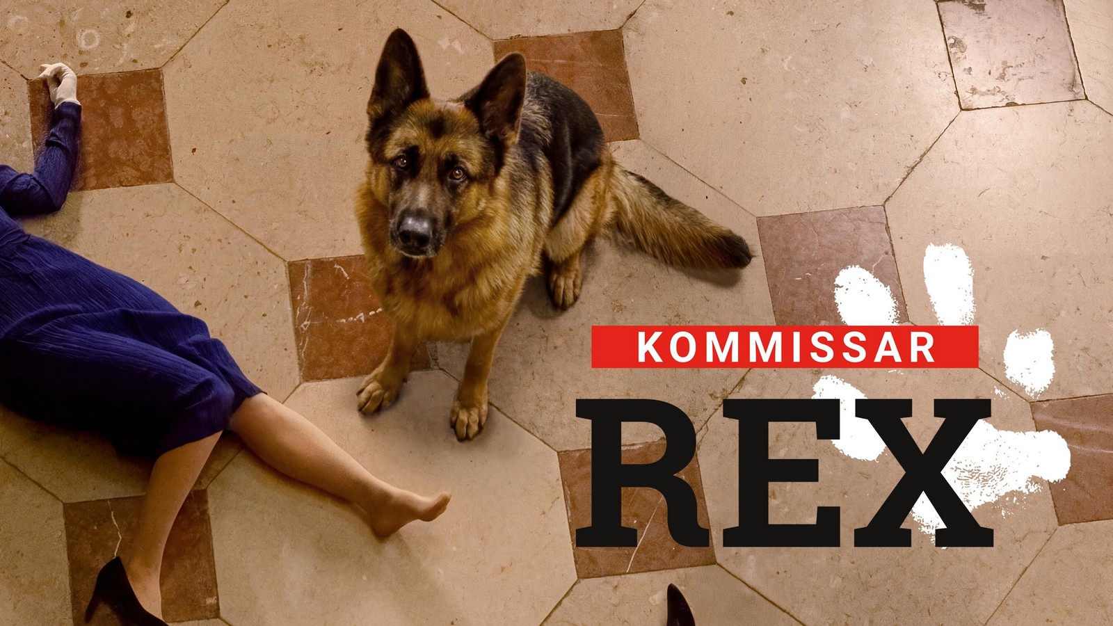 "Kommissar Rex": Wie viele Schäferhunde spielten die Rolle? 61 "Kommissar Rex"