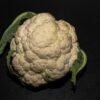 Blumenkohl