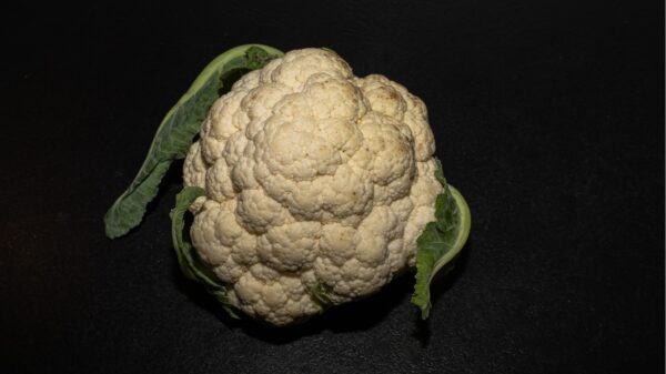 Blumenkohl
