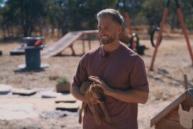 Date endet in Notaufnahme: Bachelor Sebastian Paul wurde gebissen
