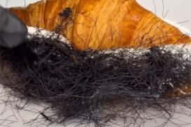 Schamhaare im Croissant? Haarige Food-Kreation aus Thailand sorgt für blankes Entsetzen 63 Schamhaare im Croissant? Haarige Food-Kreation aus Thailand sorgt für blankes Entsetzen