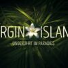 "Virgin Island" bei RTL