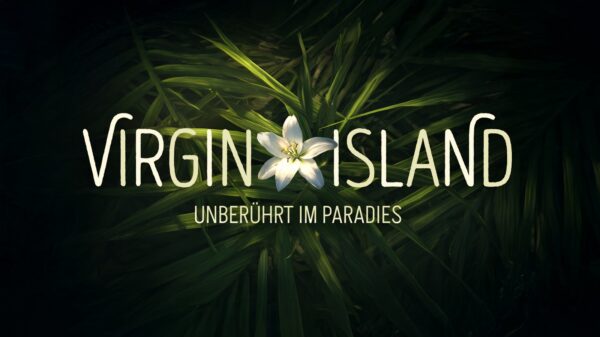 "Virgin Island" bei RTL