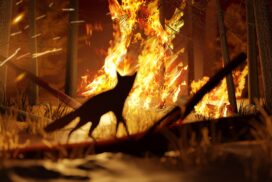 Grausame Tierquälerei bei Waldbränden in Italien: Brandstifter jagen brennende Katzen in den Wald 69 Grausame Tierquälerei bei Waldbränden in Italien: Brandstifter jagen brennende Katzen in den Wald