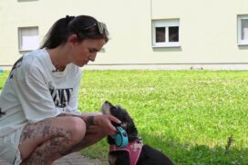 "Hartz und herzlich": Trauriger Schicksalsschlag für Ella - ihre Hündin Chloe ist gestorben 62 „Hartz und herzlich“: Trauriger Schicksalsschlag für Ella – ihre Hündin Chloe ist gestorben