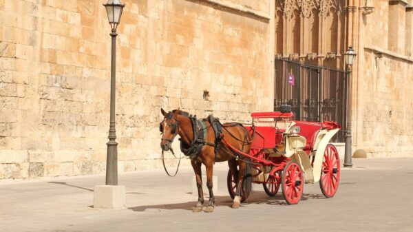 Pferdekutsche auf Mallorca