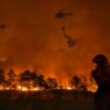 Nicht nur Flammen sind tödlich: Wie gefährlich ist Waldbrand-Rauch für die Gesundheit? 61 Waldbrand