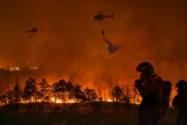 Nicht nur Flammen sind tödlich: Wie gefährlich ist Waldbrand-Rauch für die Gesundheit? 62 Nicht nur Flammen sind tödlich: Wie gefährlich ist Waldbrand-Rauch für die Gesundheit?