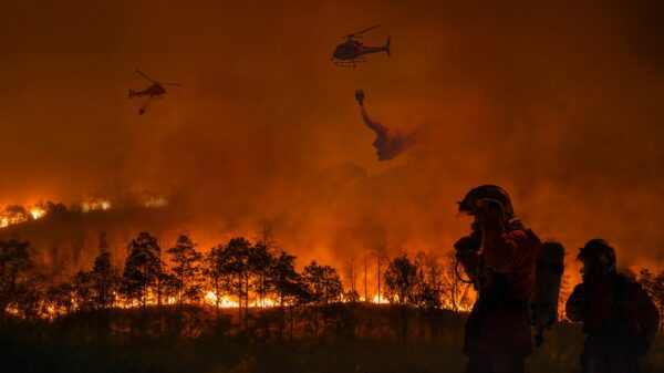 Nicht nur Flammen sind tödlich: Wie gefährlich ist Waldbrand-Rauch für die Gesundheit? 31 Waldbrand