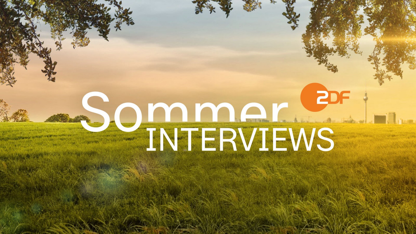 Doppel-Präsenz der AfD-Chefs: Warum zeigen ARD und ZDF parallele Sommerinterviews? 61 Berlin direkt - Sommerinterview 2026