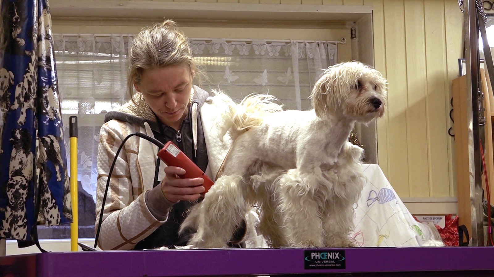 „Hartz und herzlich“: Wegen ihrer Gesundheit – Vera konnte Hündin Emmy nicht mehr richtig pflegen 72 Hundefriseurin Sunny bei "Hartz und herzlich"