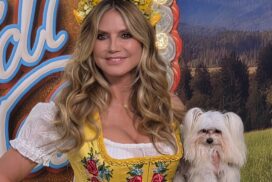Hund Fritz sorgt beim „HeidiFest“ für Wirbel - Heidi Klum reagiert auf Kritik im Netz 62 Hund Fritz sorgt beim „HeidiFest“ für Wirbel – Heidi Klum reagiert auf Kritik im Netz