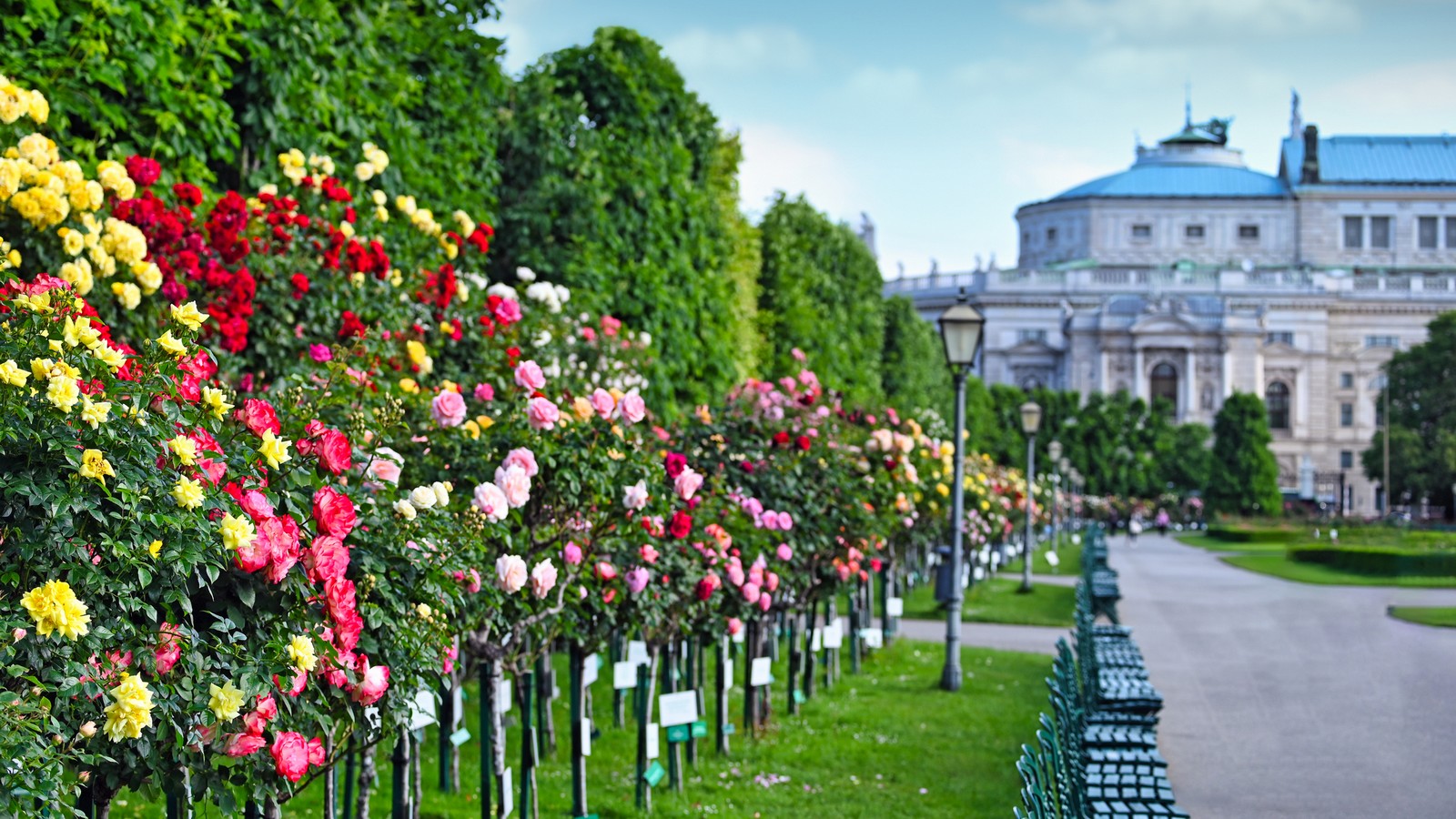 Die 20 schönsten Sehenswürdigkeiten in Wien – diese Orte muss man gesehen haben 88 Volksgarten in Wien