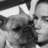 Nach Louis' Tod: Angelina Pannek trauert um Hündin Lotti 56 Angelina Pannek