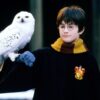 "Harry Potter und der Stein der Weisen"