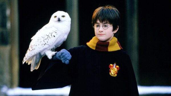 "Harry Potter": Darum hat Daniel Radcliffe im Film die falsche Augenfarbe 27 "Harry Potter und der Stein der Weisen"