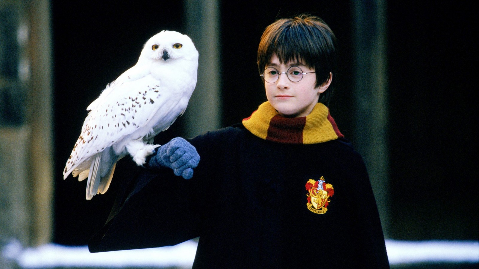 "Harry Potter": Darum hat Daniel Radcliffe im Film die falsche Augenfarbe 61 "Harry Potter und der Stein der Weisen"