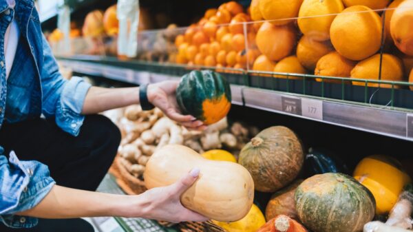 Kürbis aus dem Supermarkt: Was die weißen Flecken auf der Schale bedeuten können 36 Kürbis im Supermarkt