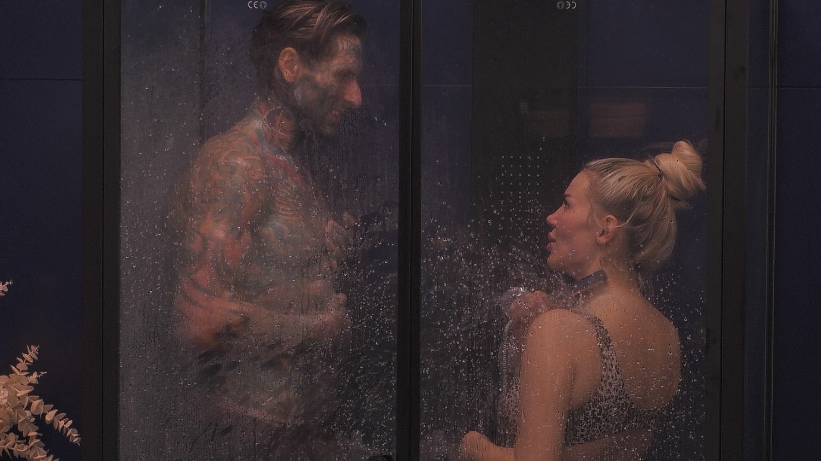 Erstmal unter die Dusche: So ging es nach der "Promi Big Brother"-Hochzeit bei Kim Virginia und Nikola Grey weiter 61 Nikola Grey und Kim Virginia bei "Promi Big Brother" 2026