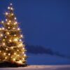 Weiße Weihnachten 2026? Wetterexperte überrascht mit erster Schnee-Prognose 50 Schnee an Weihnachten