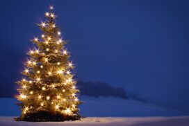 Weiße Weihnachten 2026? Wetterexperte überrascht mit erster Schnee-Prognose 62 Weiße Weihnachten 2026? Wetterexperte überrascht mit erster Schnee-Prognose