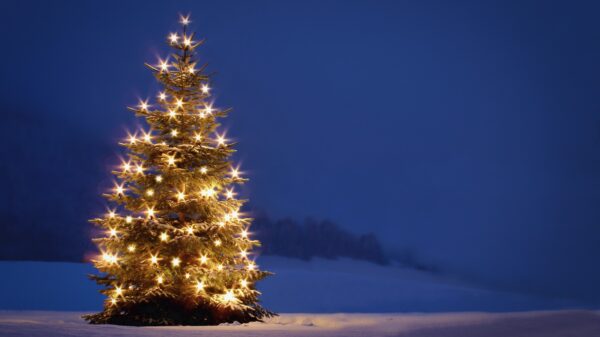 Weiße Weihnachten 2026? Wetterexperte überrascht mit erster Schnee-Prognose 31 Schnee an Weihnachten