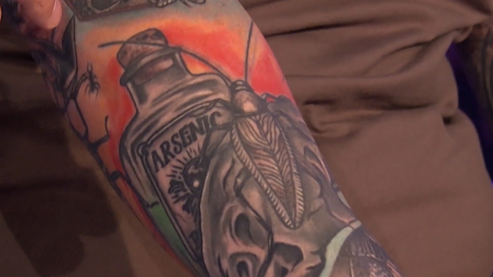 „Wer wird Millionär?“: Kandidat Claas Derkowski zeigt Kakerlaken-Tattoo – Günther Jauch reagiert mit „Ihh!“ 72 Claas Derkowski bei "Wer wird Millionär?"